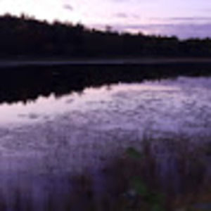 Meet your Posher, Jackson